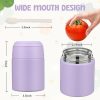 10oz Soup Thermo for Hot Food Kids Insulated Food Jar with Spoon Wide Mouth Stainless Steel Lunch Container Leak Proof Vacuum Food Box for School Travel Picnic Purple